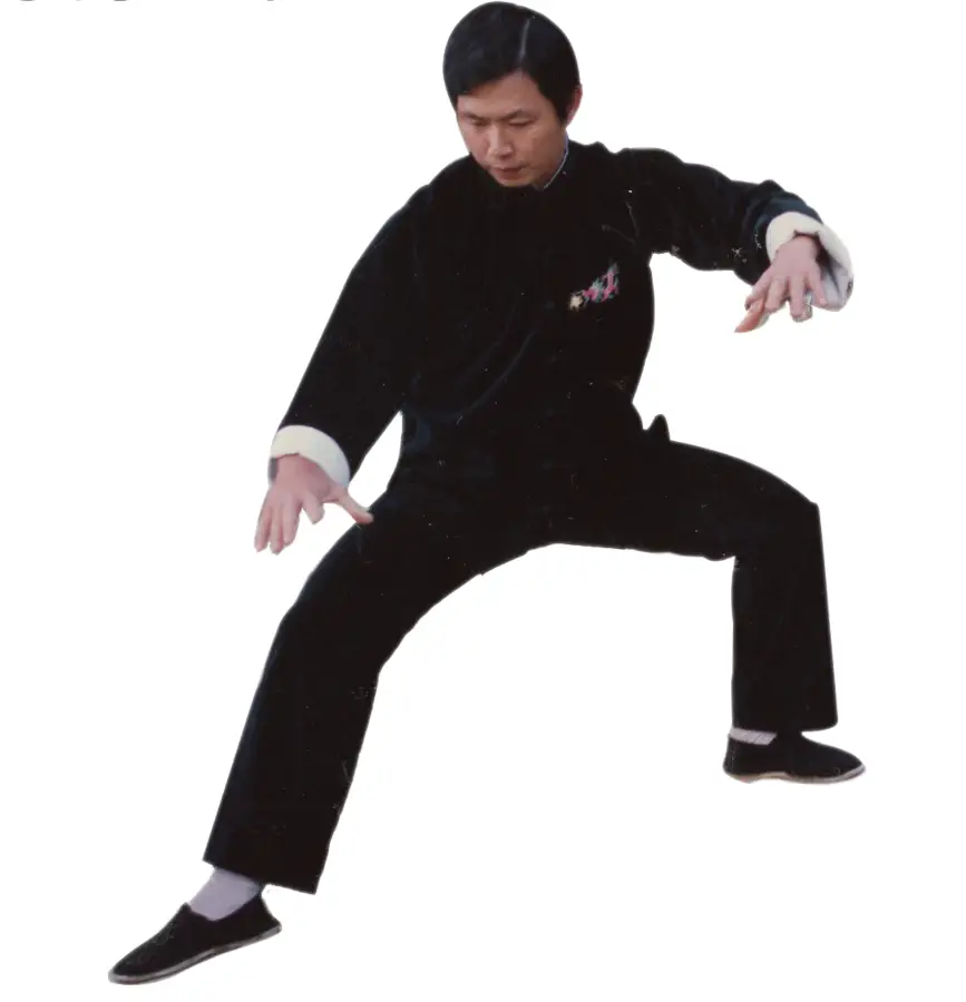 Master Lam - ca. 1987